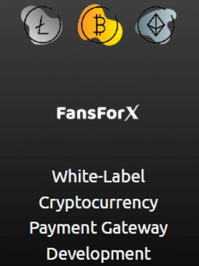 White-Label Cryptocurrency Payment Gateway Development